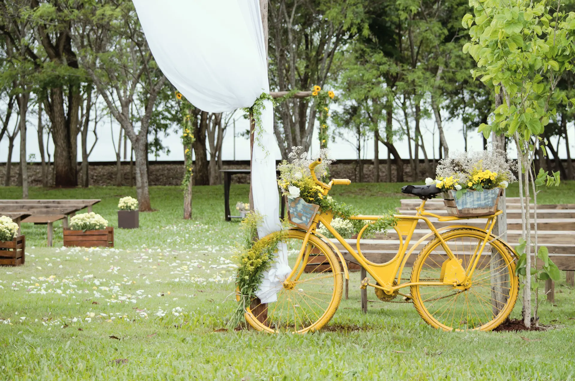 Wedding Celebration
